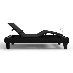 ergomotion ergo rio 6.0 adjustable bed